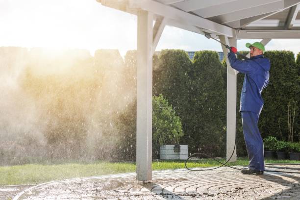 Best Gutter Cleaning  in Battle Creek, MI